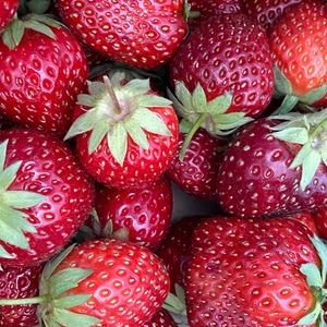 Meet your Posher, Jen